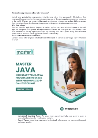 Are you looking for Java online tutor program?