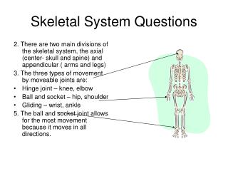 Skeletal System Questions