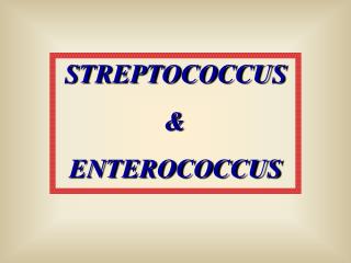 STREPTOCOCCUS &amp; ENTEROCOCCUS