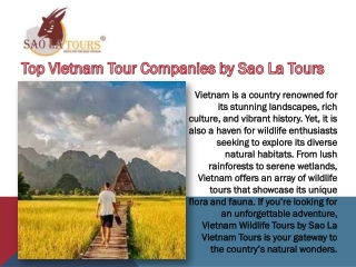 Top Vietnam Tour Companies by Sao La Tours