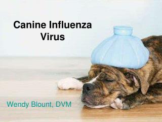 Canine Influenza Virus