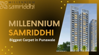 Millennium Samriddhi Biggest Carpet in Punawale