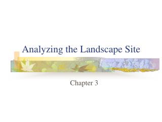 Analyzing the Landscape Site