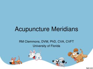 Acupuncture Meridians