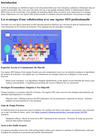 Les avantages d'une collaboration avec une Agence SEO professionnelle