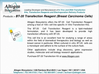 Products &gt; BT-20 Transfection Reagent (Breast Carcinoma Cells)