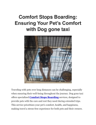 Comfort Stops Boarding | Dog Gone Taxi