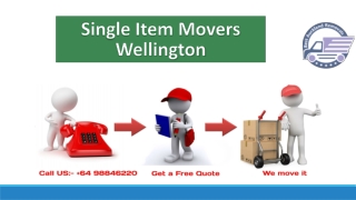 Single Item Movers Wellington