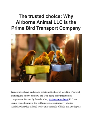 Bird Transport Company | Airborne Animals