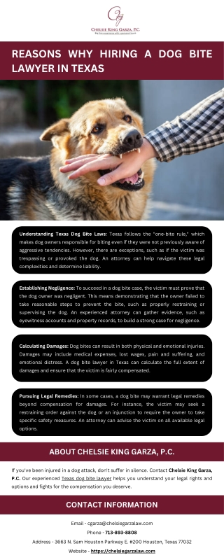 Reasons Why Hiring a Dog Bite Lawyer in Texas
