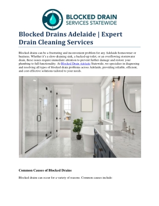 Blocked Drains Adelaide | Expert Drain Cleaning Services