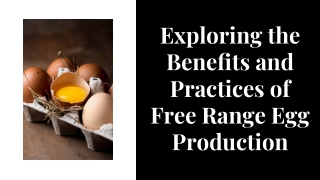 Fresh Free-Range Eggs: Nature's Perfect Choice