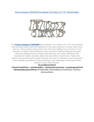 Ariens Company 72601800 Snow Blower Tire Chains 16_ X 8_ _ WholeToolBox
