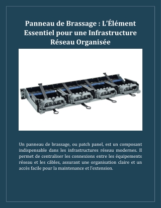 Panneau de Brassage- L’Élément Essentiel pour une Infrastructure Réseau Organisée