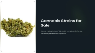 Cannabis Strains for Sale
