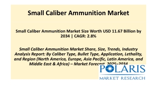 Small Caliber Ammunition Market