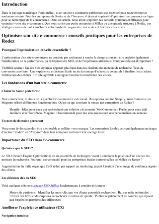 Optimiser son site e-commerce : conseils pratiques pour les entreprises de Rodez