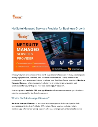 NetSuite Managed Services Provider for Business Growth