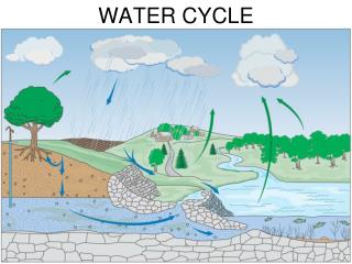 WATER CYCLE