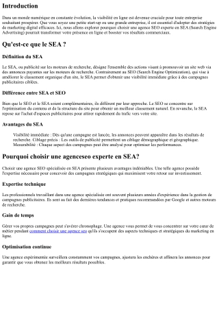 Pourquoi choisir une agenceseo experte en SEA?