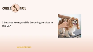 7 Best Pet Grooming Services in the USA | CurliTail