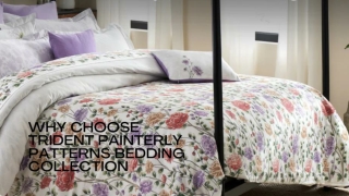 Trident Painterly Patterns Bedding Collection