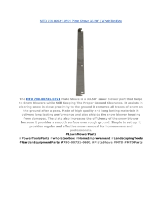 MTD 790-00731-0691 Plate Shave 33.50_ _ WholeToolBox