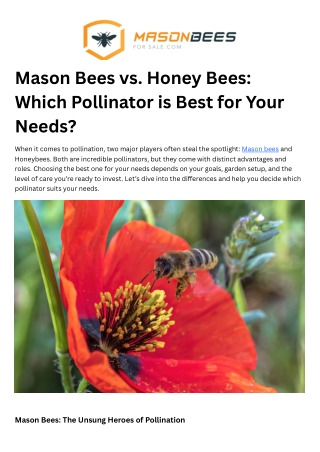 Mason Bees vs. Honey Bees: Discover the Best Pollinator for Your Garden