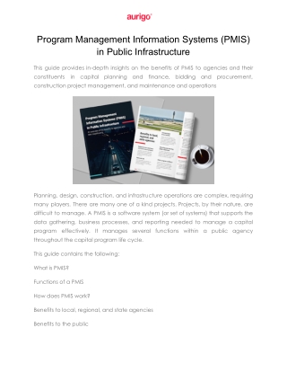 Program Management Information Systems (PMIS) in Public Infrastructure