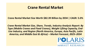Crane Rental Market