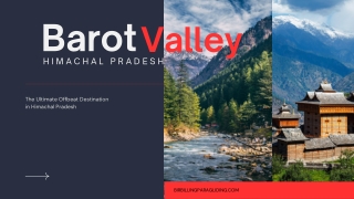 Barot Valley: The Ultimate Offbeat Destination in Himachal Pradesh