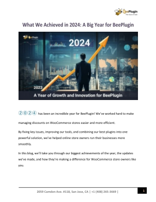 What We Achieved in 2024: A Big Year for BeePlugin