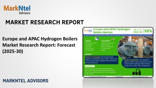 Europe and APAC Hydrogen Boilers Market Research Report: Forecast (2025-30)