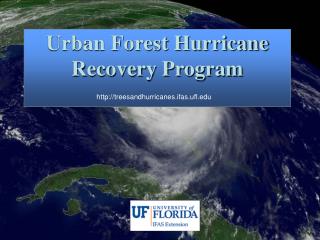 Urban Forest Hurricane Recovery Program