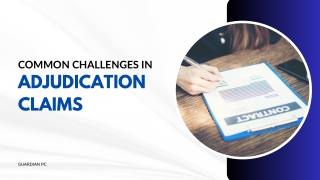 Common Challenges in Adjudication Claims