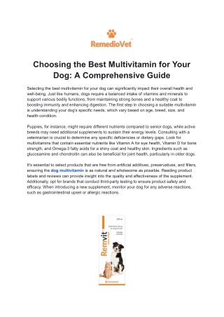 Choosing the Best Multivitamin for Your Dog_ A Comprehensive Guide