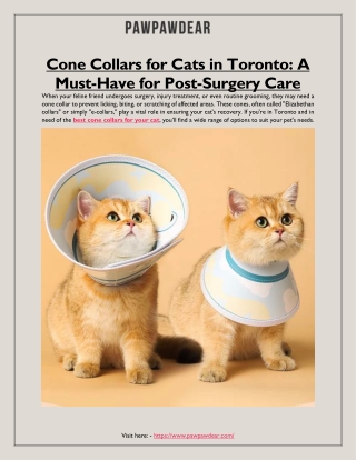 Cone Collars for Cats in Toronto: A Must-Have for Post-Surgery Care