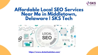 Affordable Local SEO Services Near Me in Middletown, Delaware  SKS Tech