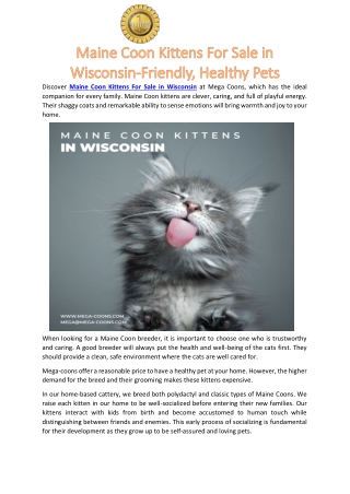 Maine Coon Kittens For Sale in Wisconsin-Friendly, Healthy Pets