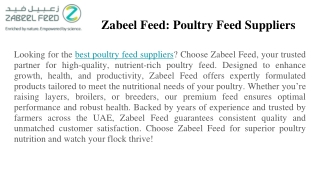 Zabeel Feed_ Poultry Feed Suppliers
