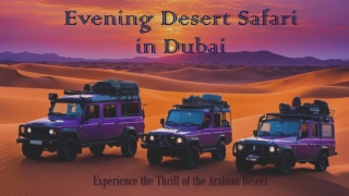 Evening Desert Safari in Dubai