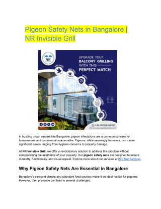 Pigeon Safety Nets in Bangalore _ NR Invisible Grill