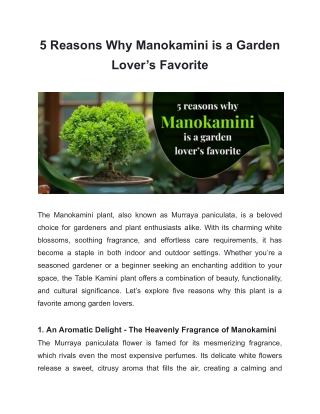 5 Reasons Why Manokamini is a Garden Lover’s Favorite