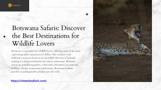 Botswana Safaris Discover the Best Destinations for Wildlife Lovers