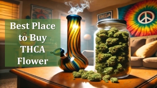 Best Place to Buy THCA Flower