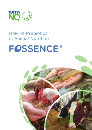 Comprehensive Guide to Animal Nutrition – CTC Brochure