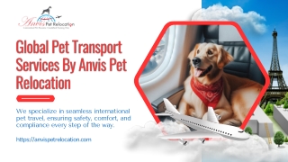 Seamless Pet Relocation Services Across Canada