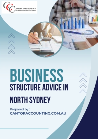 Business Structure Advice North Sydney