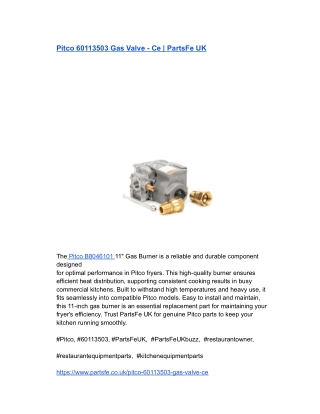 Pitco 60113503 Gas Valve - Ce _ PartsFe UK