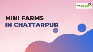 Mini Farms in Chhattarpur for Sale – Farmhouse South Delhi